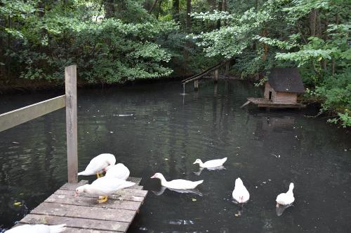 weiher