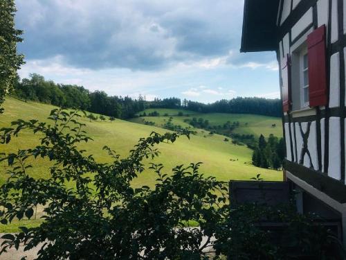 Ausblick