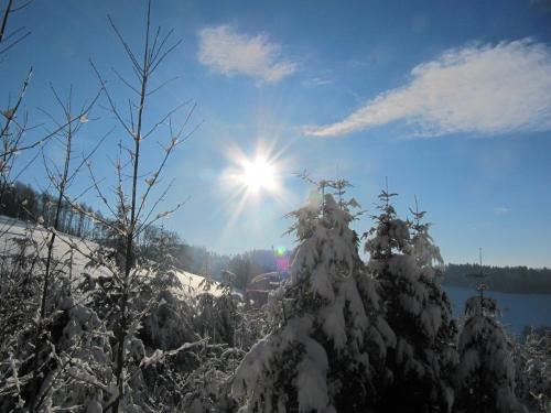 winter im Schuttertal