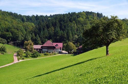 blick_auf_den_hof