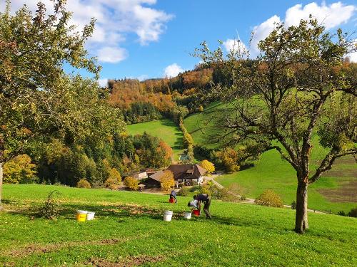 herbst