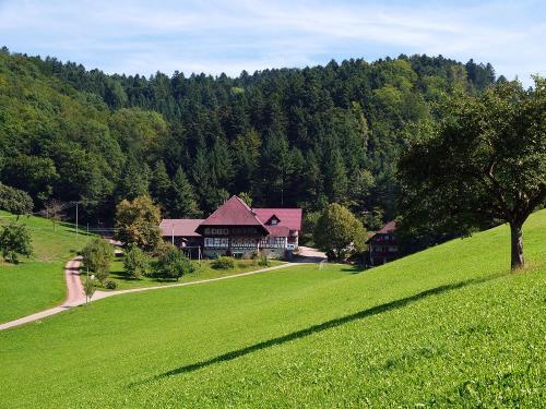 blick_auf_den_hof