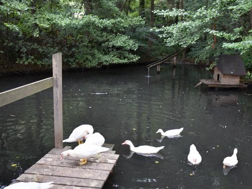 weiher