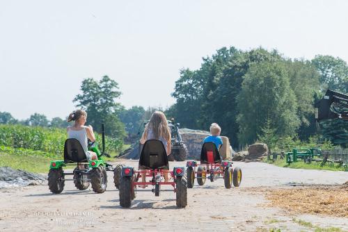 Spass mit den Dino-Cars