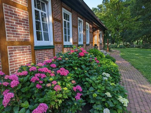 Viele Blumen auf dem Hof
