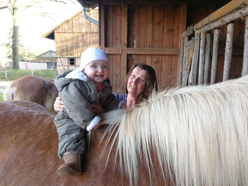 Kostenloses Ponyreiten am Nachmittag