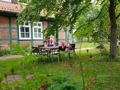 Garten vor den Ferienwohnungen