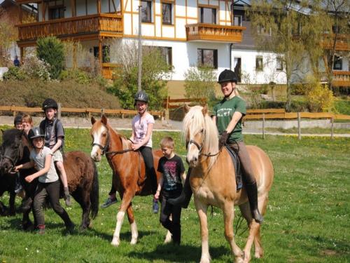 Ponys