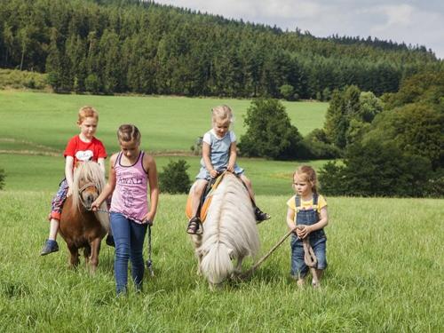 Ponyreiten