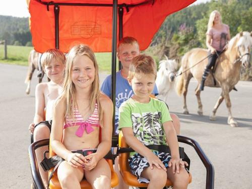 Familien Gocart