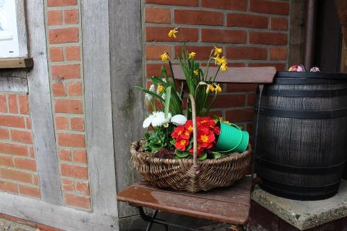 Frühlingsboten
