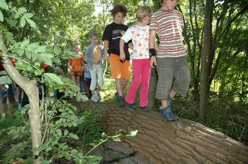 Erlebnispfad auf Hof Katthusen