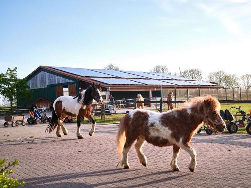 TRABERHOF_HOOKSIEL_05_2025_DIV_039