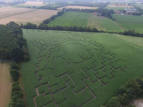 Maislabyrinth Motiv 2018