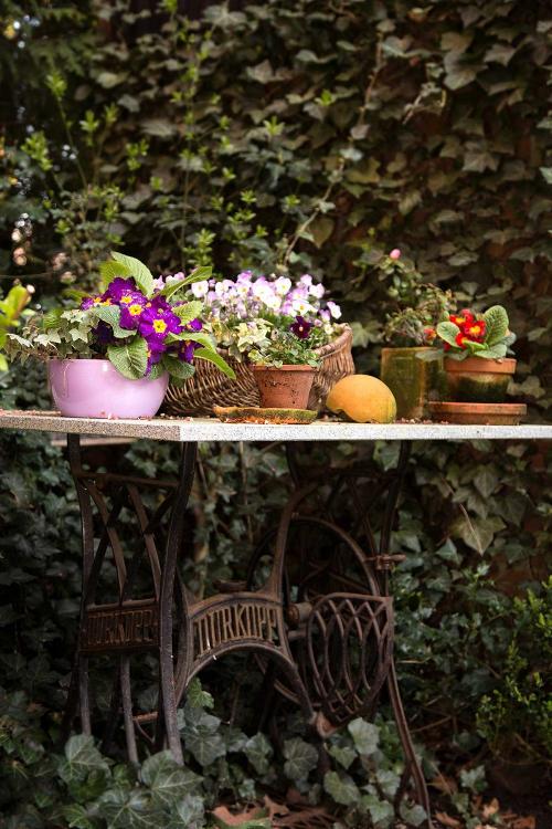 garten4