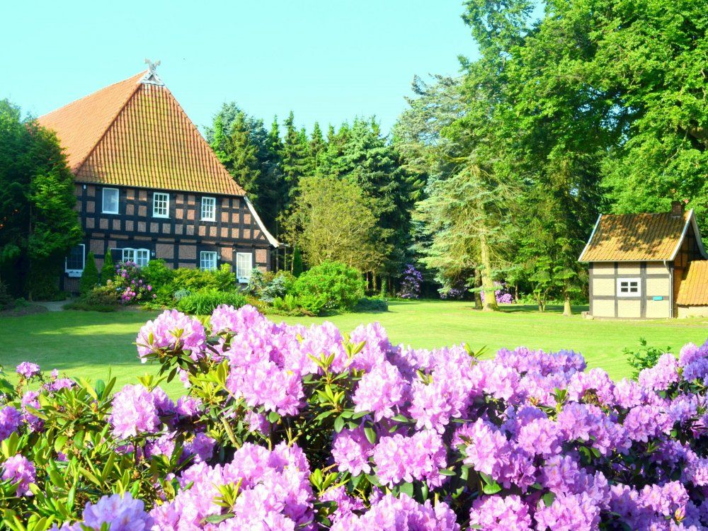 Sommerbild