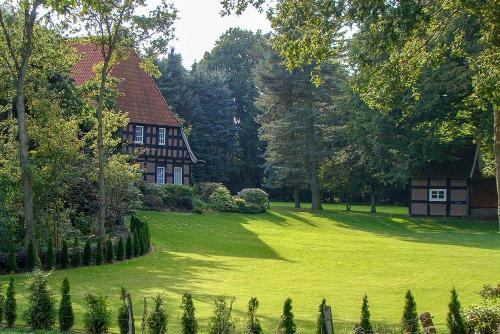 Garten hinterm Haus