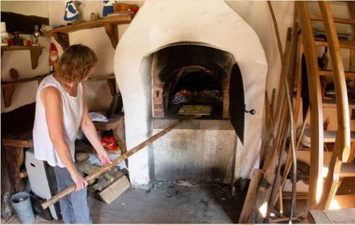 Backhaus
