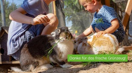 Unsere Hasen
