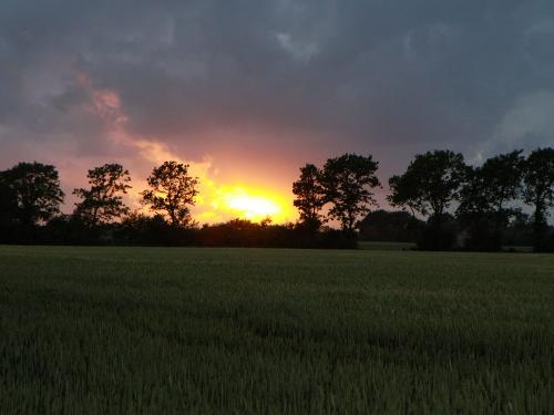 Sonnenuntergang über m Heuhoff