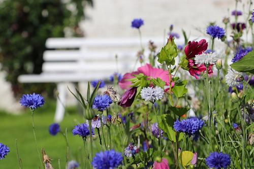 Gartenidylle