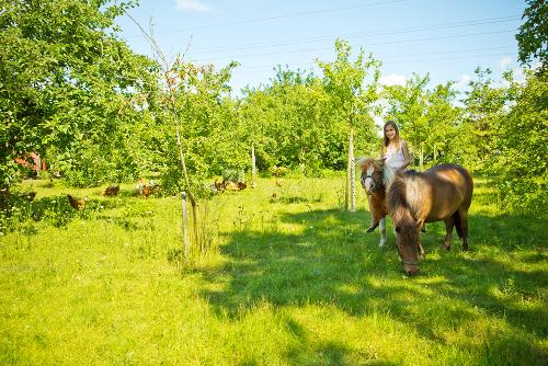 bild13-13