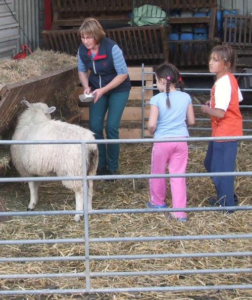Stallarbeit