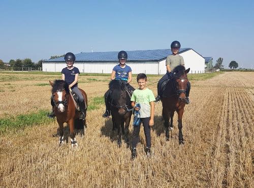 Ausritt mit den Ponys