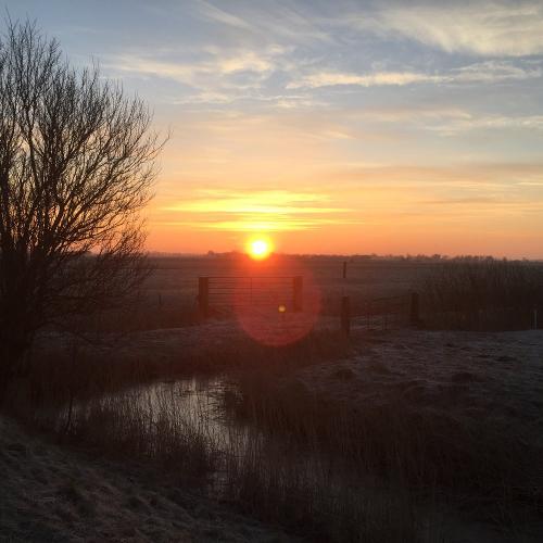Sonnenaufgang am frostigen Morgen