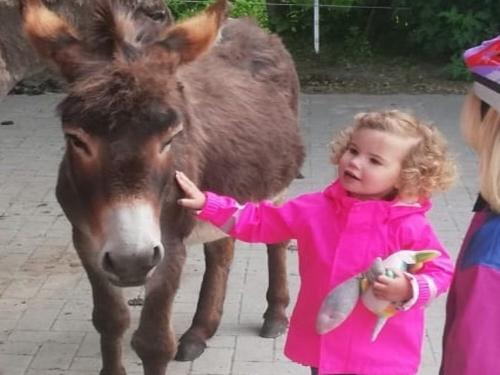 Kind mit Esel