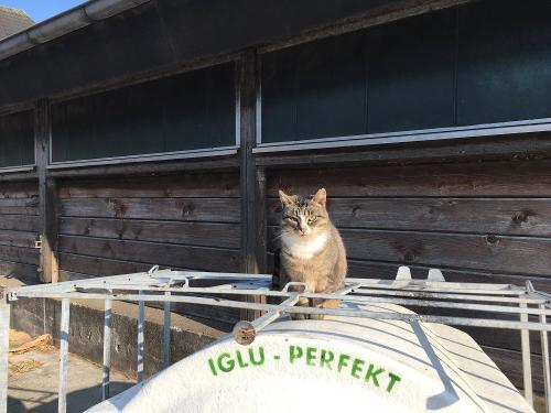 Ein Platz in der Sonne