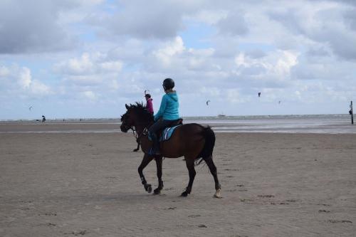 Freiheit am Strand
