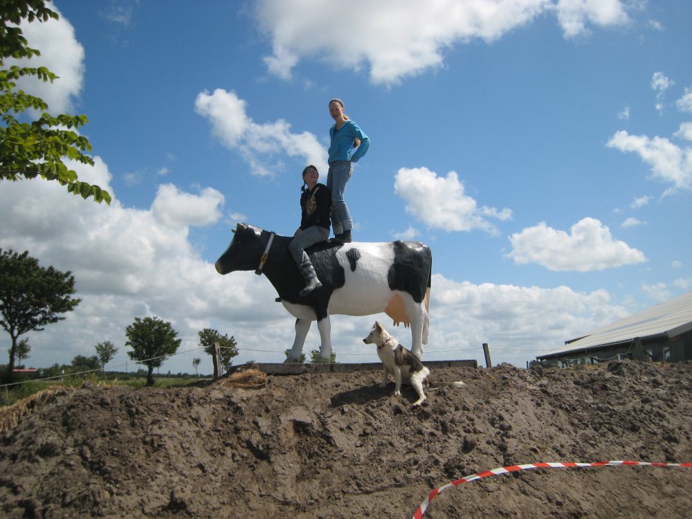 heisternest1