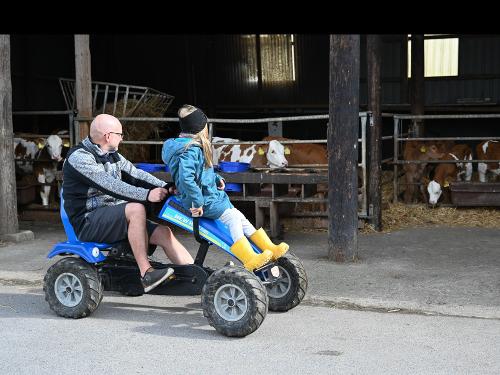 Gokarts