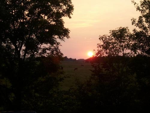Sonnenuntergang