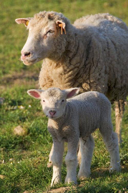 Mutter und Kind