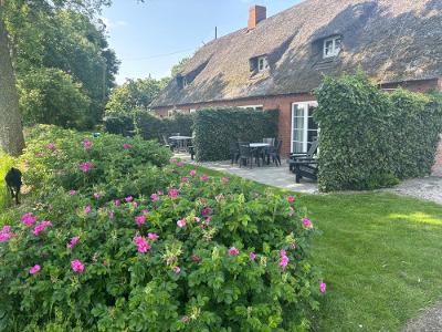 Traumhafte rosa BlÃ¼ten im Mai