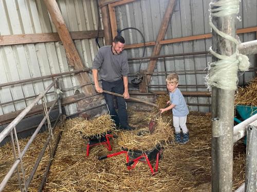 Mithilfe auf dem Hof