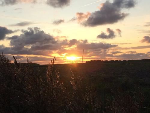Abendstimmung