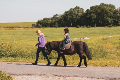 geführtes Pony reiten