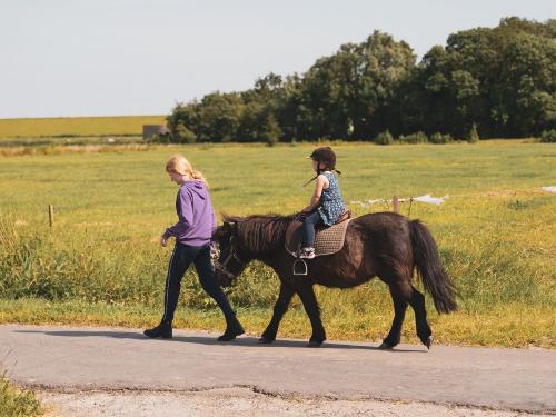 geführtes Pony reiten