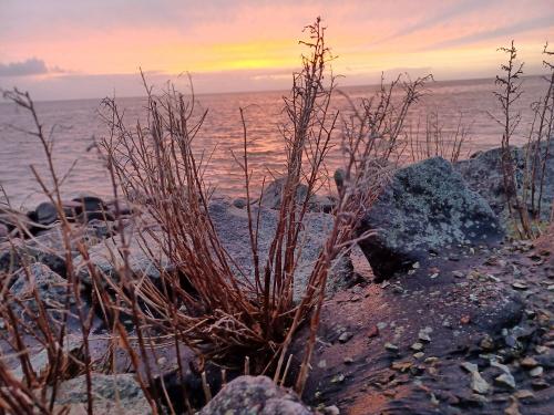Winterwelt am Wasser