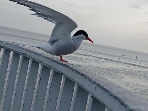 20220618_194654 20220618_194654