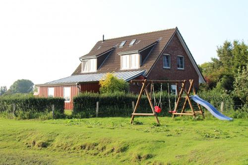 img_6331