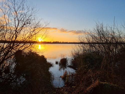 3fb983c7-932f-40b5-983c-d2e36297e1a5