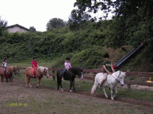 Ponyreiten