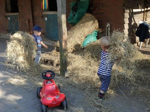 Kinder im Heu