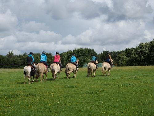 Reitgruppe