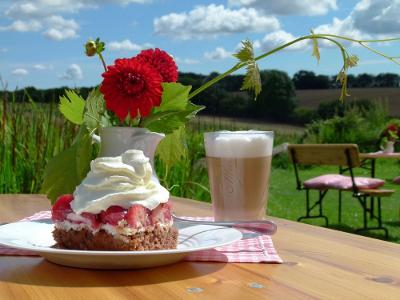 frische Erdbeeren_Genuss pur mit Blick auf die Rebzeilen