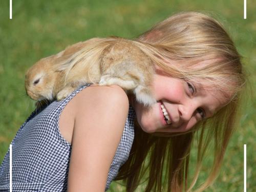 Unsere Tiere-19